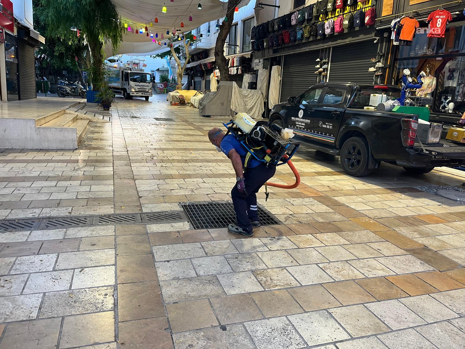 Muğla Büyükşehir ve Bodrum Belediyeleri'nden ortak ilaçlama çalışması