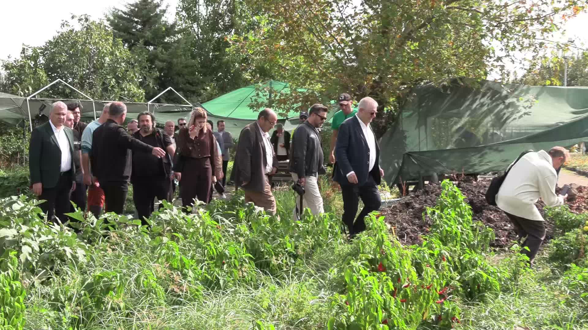 Edremit Belediyesi, ata tohumlarını geleceğe taşıyor: 137 çeşit koruma altında