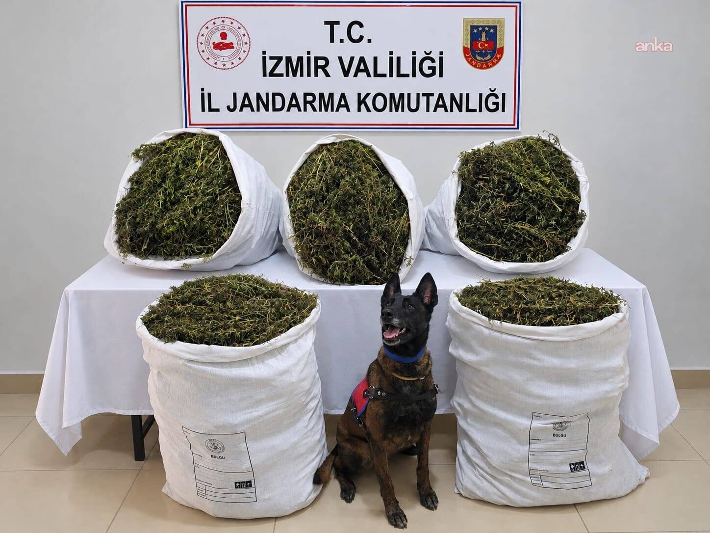 İzmir'de 54 kilo 800 gram uyuşturucu madde ele geçirildi, 3 şüpheli tutuklandı