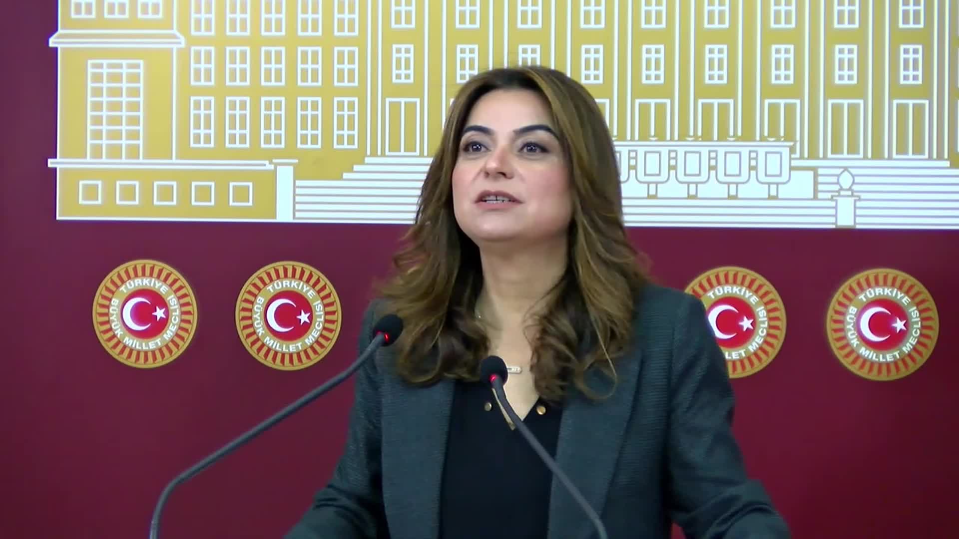 Gülistan Kılıç Koçyiğit: Süreçle ilgili oluşturulacak yasal çerçeve, demokrasinin önünü açacak ve güçlendirecektir