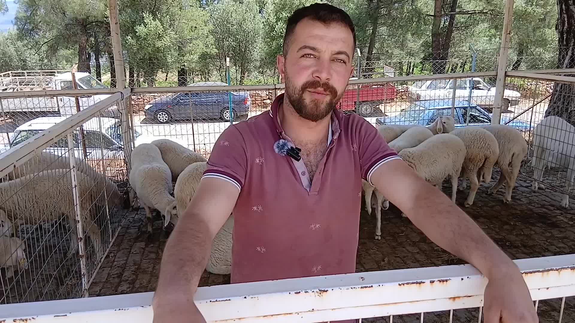 Aydın’da 28 yaşındaki besici: "Pazar yerinde, benim yaşlarımda üretici ancak 10 kişi çıkar"