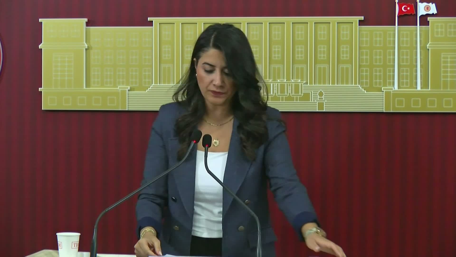 DEM Partili Ayan: "Kadınların nafaka hakkına yönelik saldırıları kabul etmeyeceğiz"