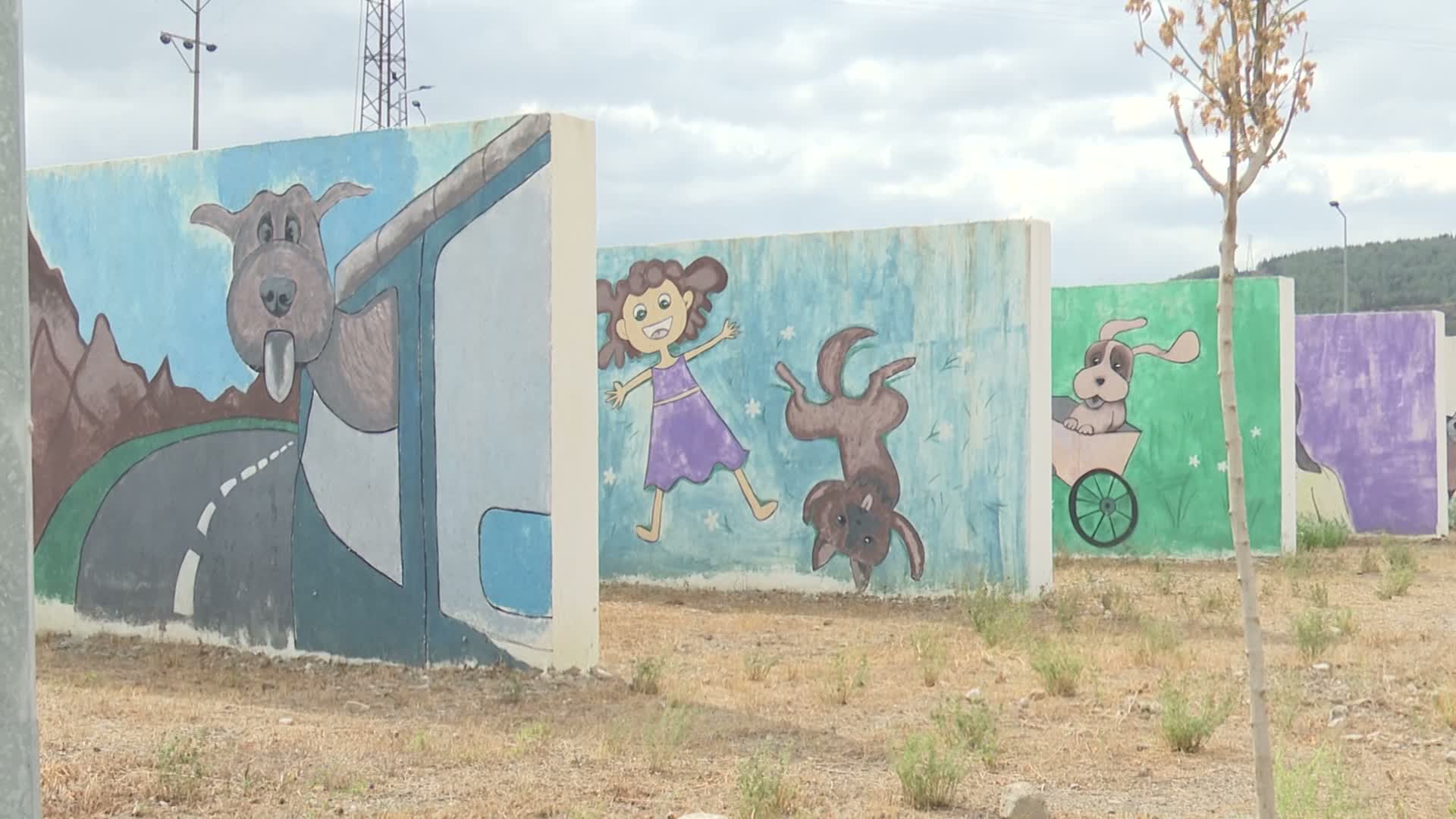 Bir yuva, bir canın hayatını değiştirir