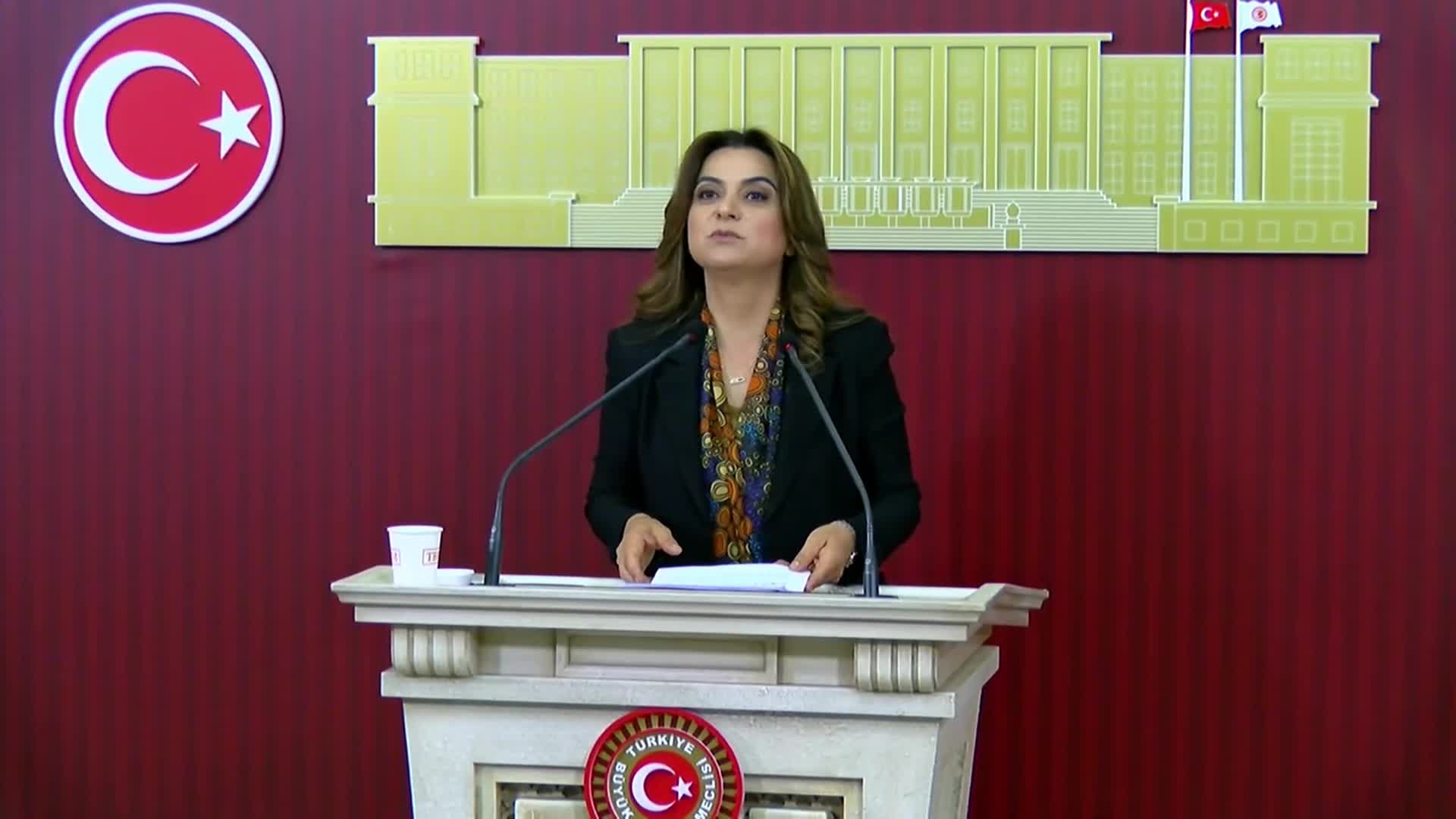 Gülistan Kılıç Koçyiğit'ten 12. Yargı Paketi eleştirisi: "Toplumun beklentilerine yanıt veren bir paket değildir"
