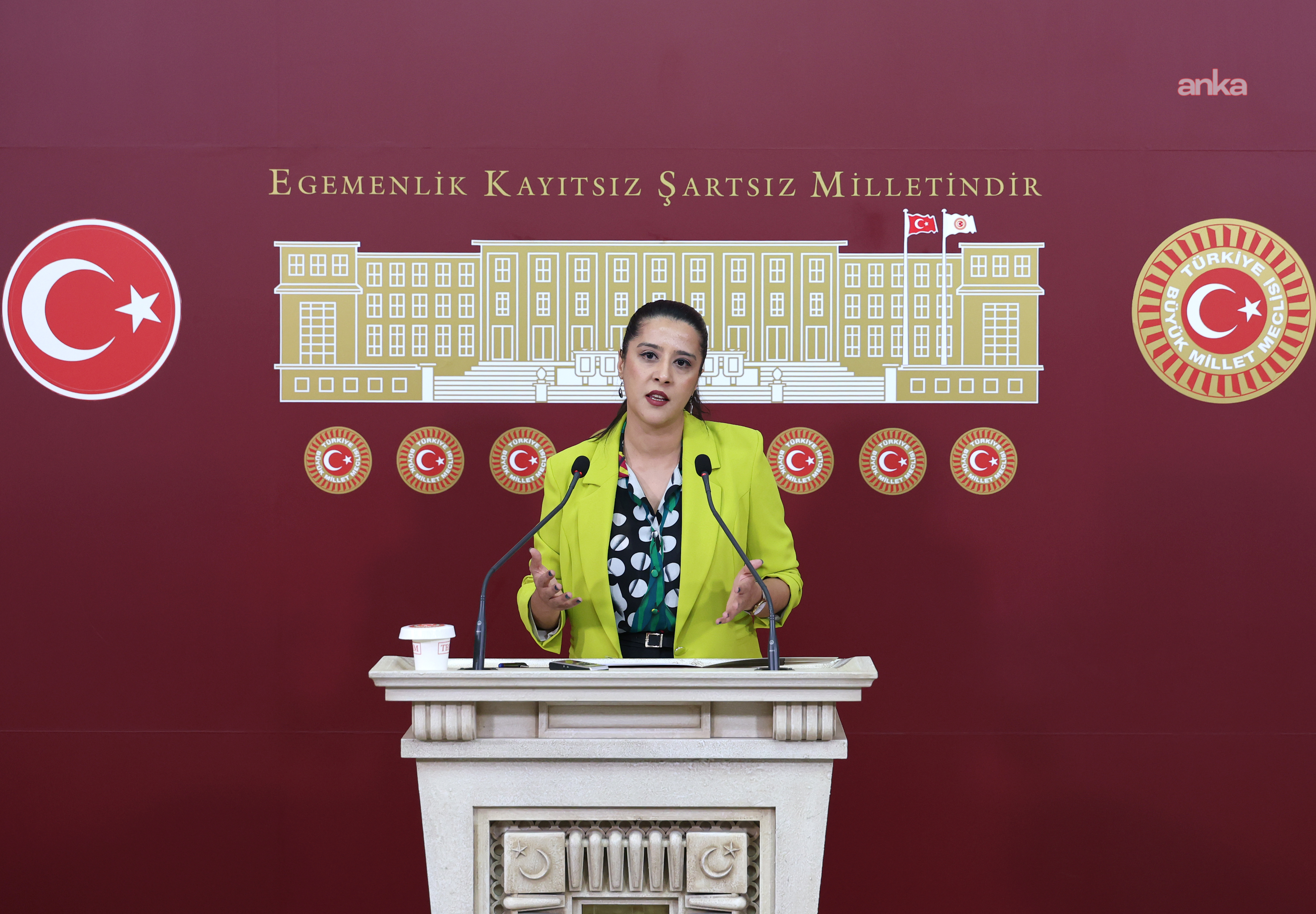 EMEP'li Karaca, Akdeniz kıyılarında artan mikroplastik kirliliği TBMM gündemine taşıdı