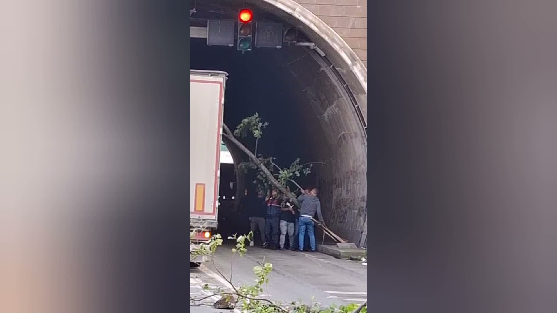 Hopa-Sarp sınır yolunda heyelan: Kopan ağaçlar araçların üzerine devrildi