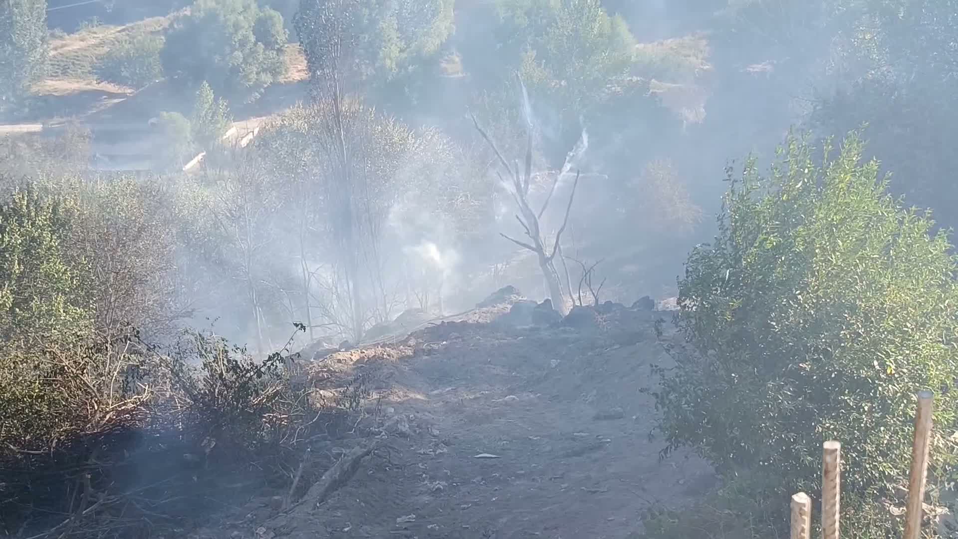 Malatya Darende'de bahçede çıkan yangın yurttaşların da desteğiyle kontrol altına alındı
