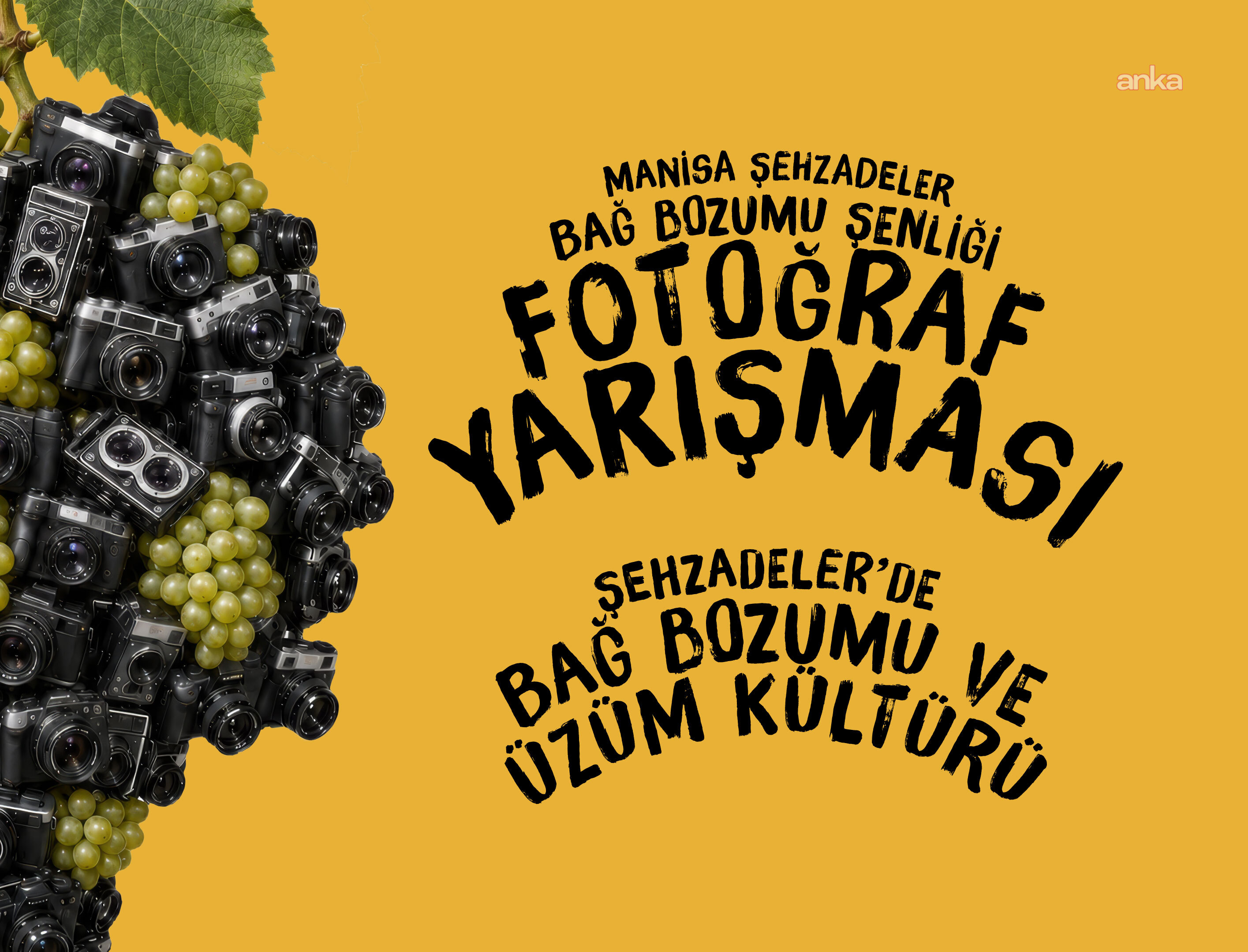 Şehzadeler Belediyesi'nden Bağbozumu Şenliği'ne özel fotoğraf yarışması
