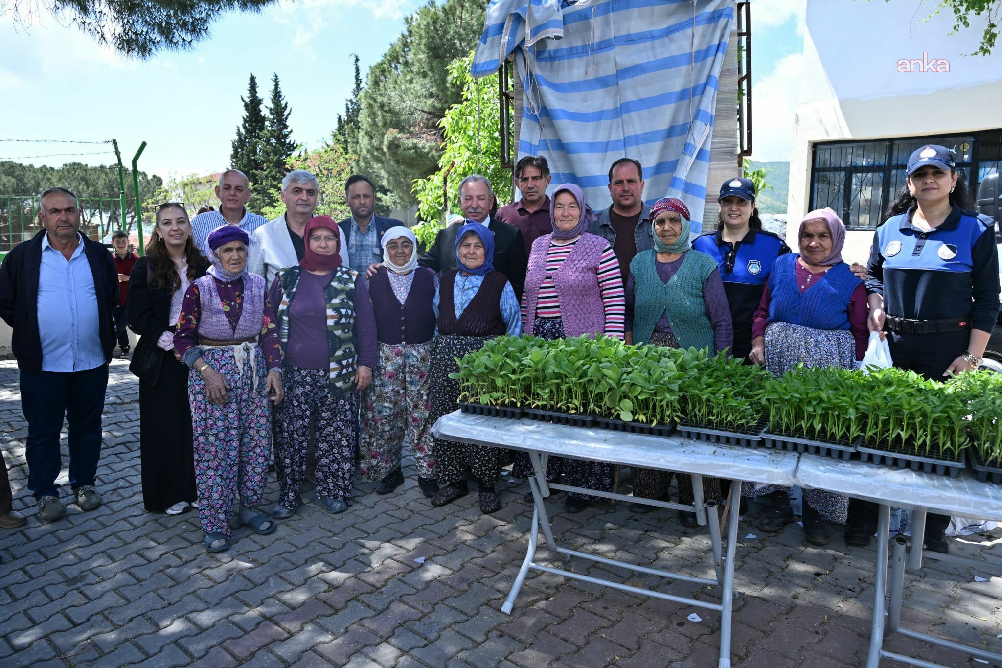 Manisa Büyükşehir Belediyesi’nden Salihlili üreticiye sebze fidesi desteği