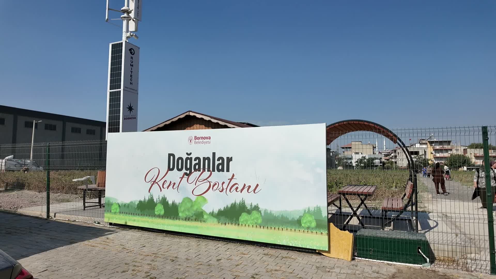 Bornova kent bostanında hasat zamanı... İlk ürünlerle menemen şenliği