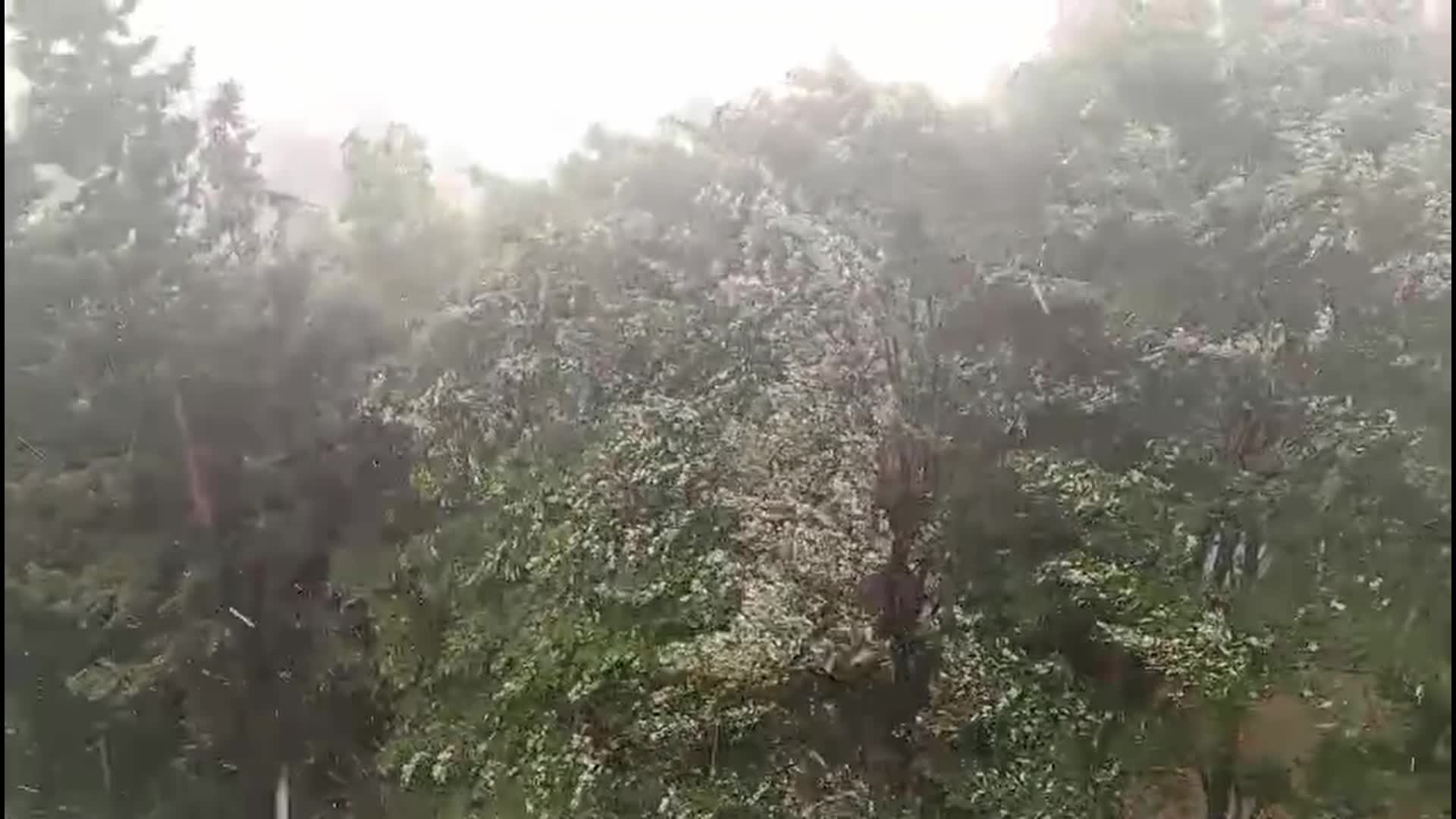 Küçükçekmece’de kısa süreli fırtına ve dolu etkili oldu