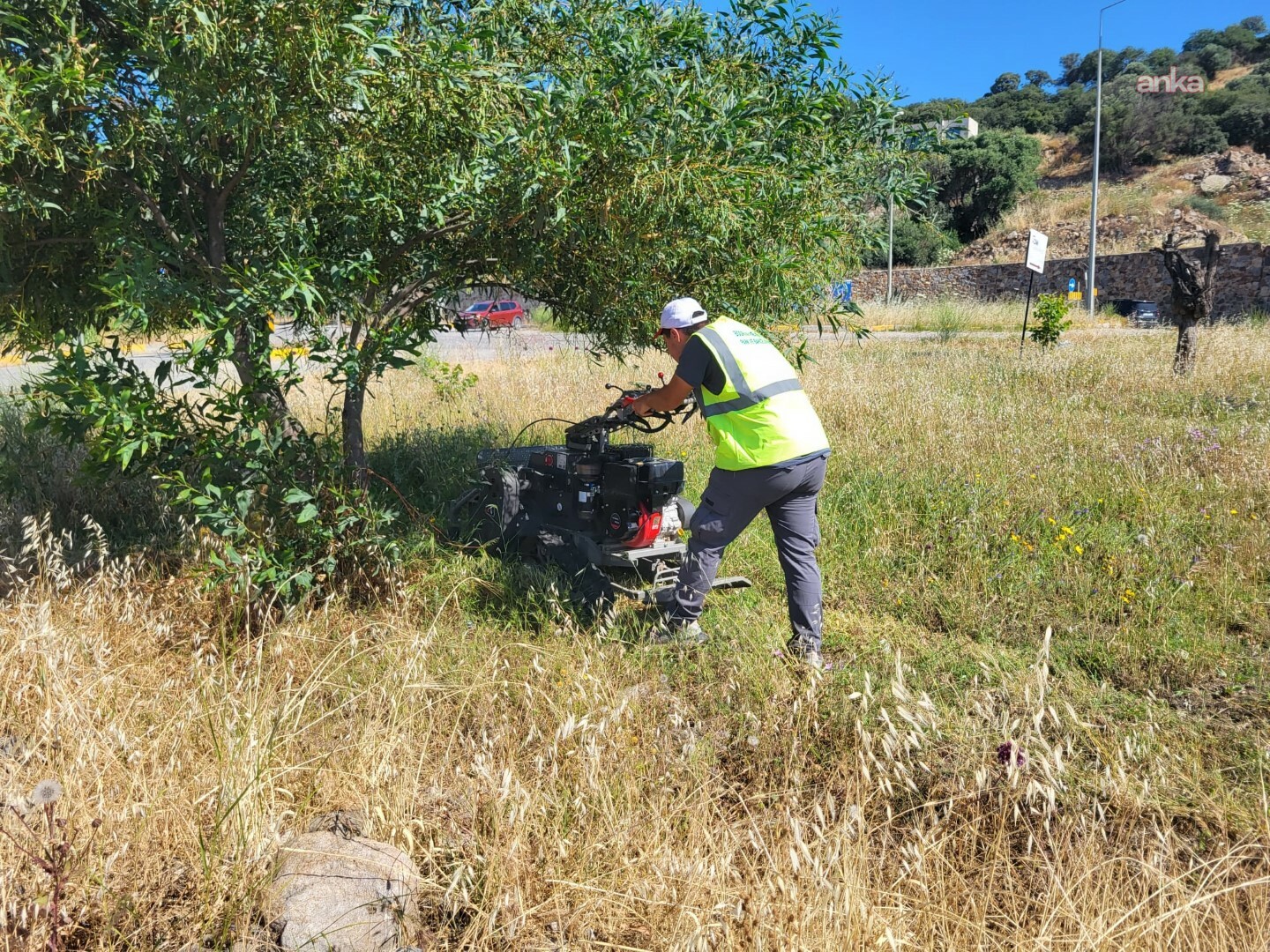 Bodrum’da ot temizliği çalışmaları devam ediyor
