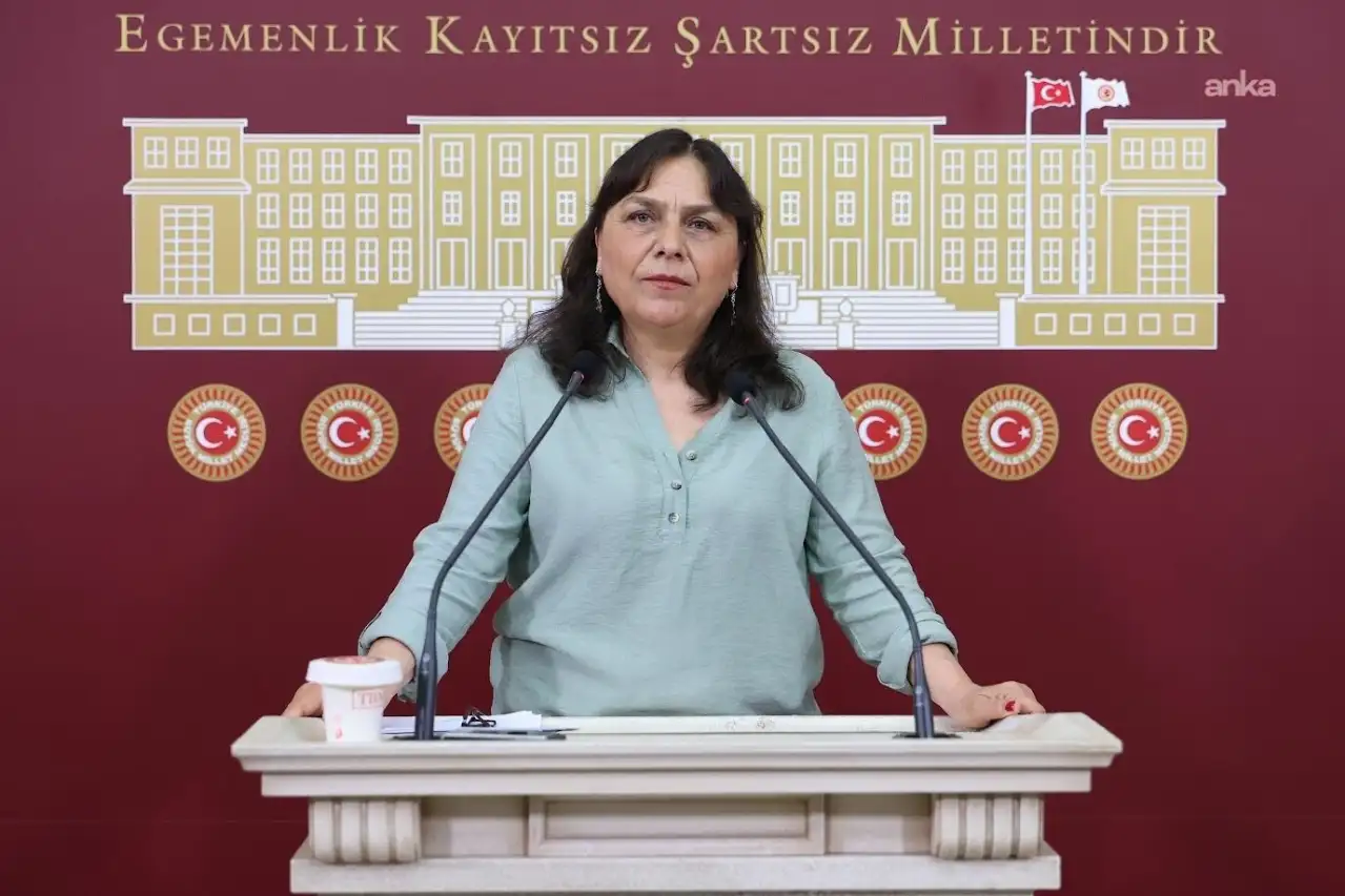 DEM Partili Saki’den “Ailem Güvende” operasyonları ve LGBTİ+ hesaplarına erişim engellerine ilişkin Bakan Gürlek ve Çiftçi'ye soru önergesi
