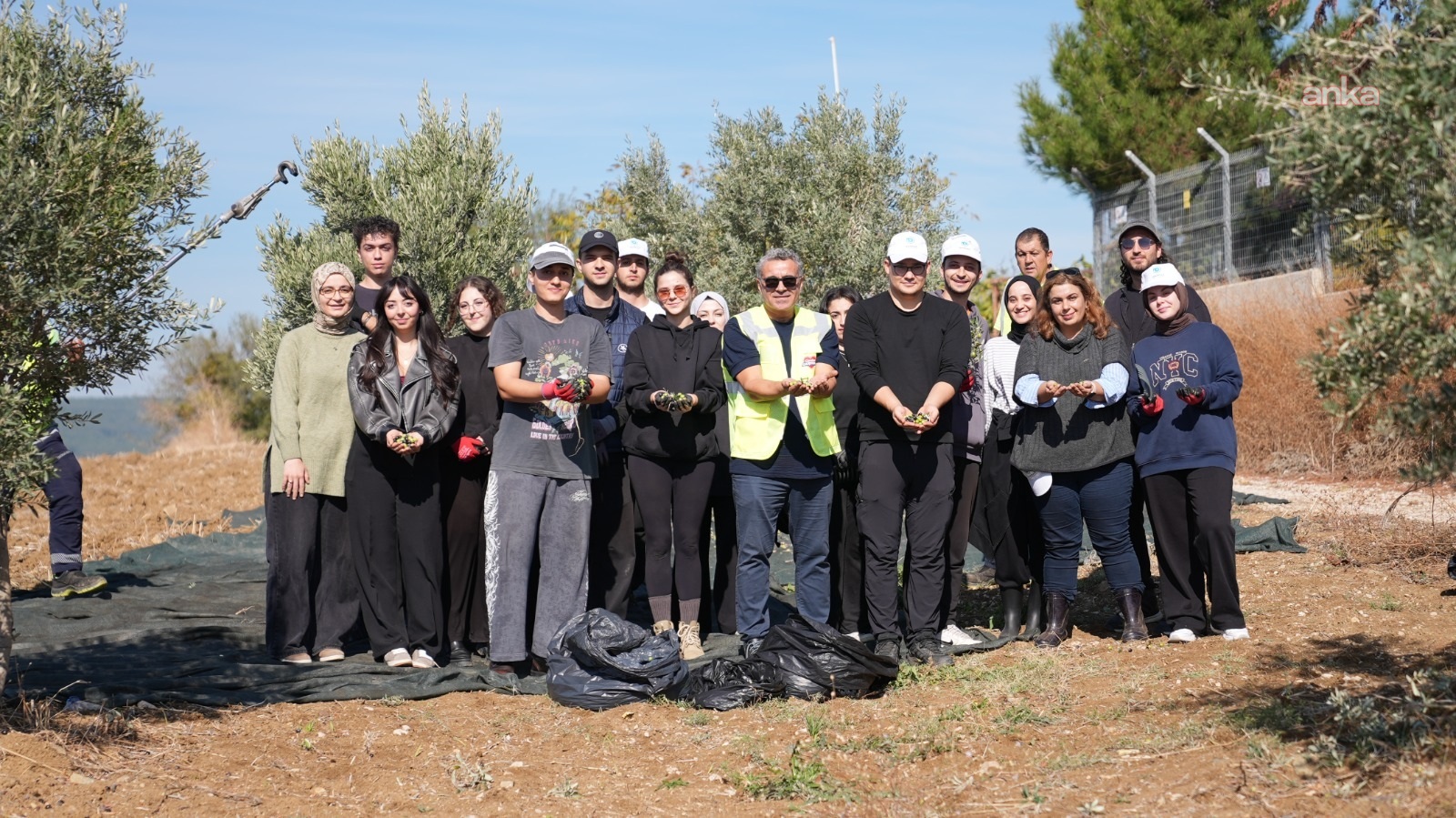 Tekirdağ'da üniversite öğrencilerine "uygulamalı zeytin hasadı" eğitimi
