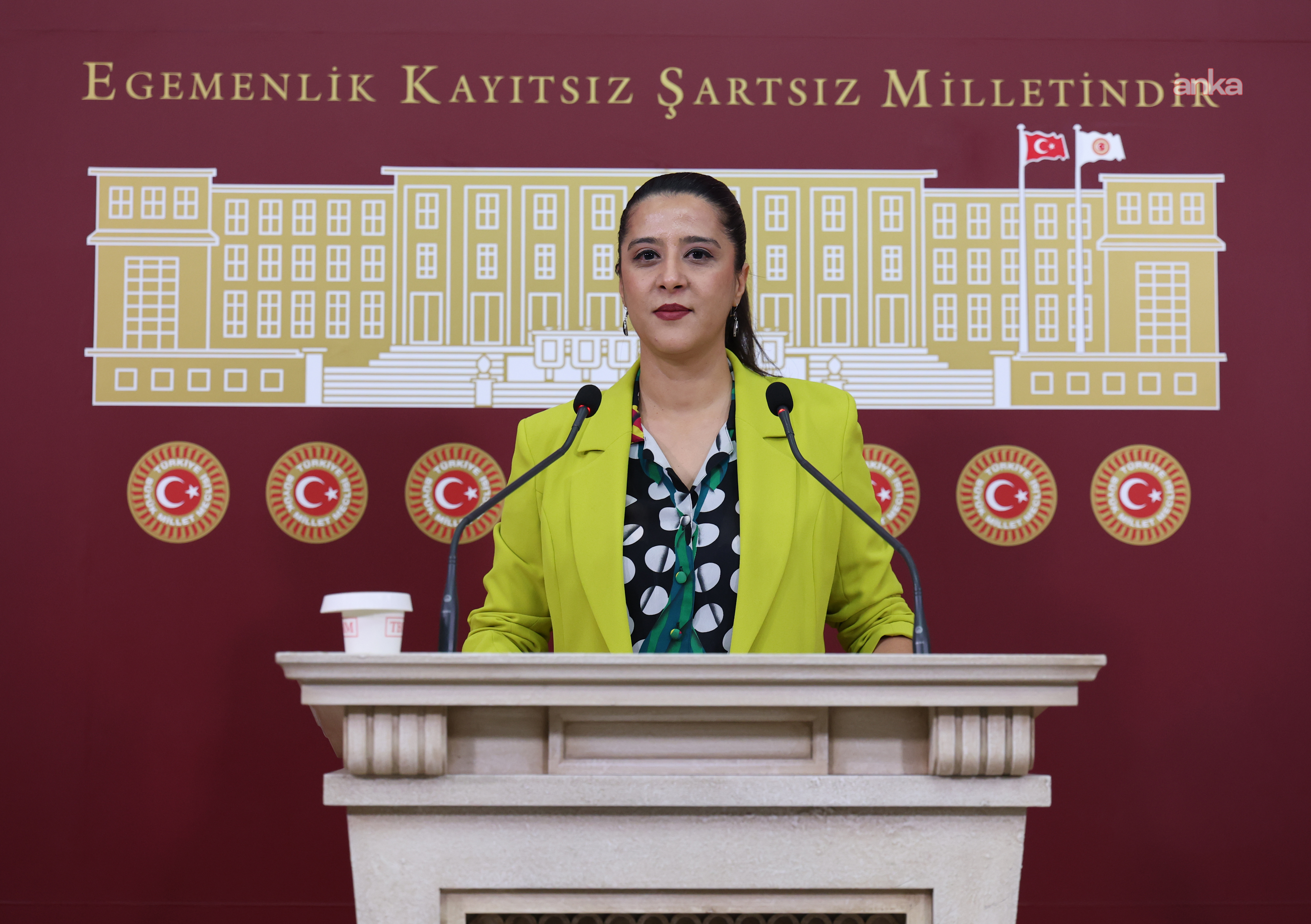 EMEP'li Karaca, Gaziantep'te Eğitim-İş temsilcisine yönelik "uyarı"yı TBMM gündemine taşıdı