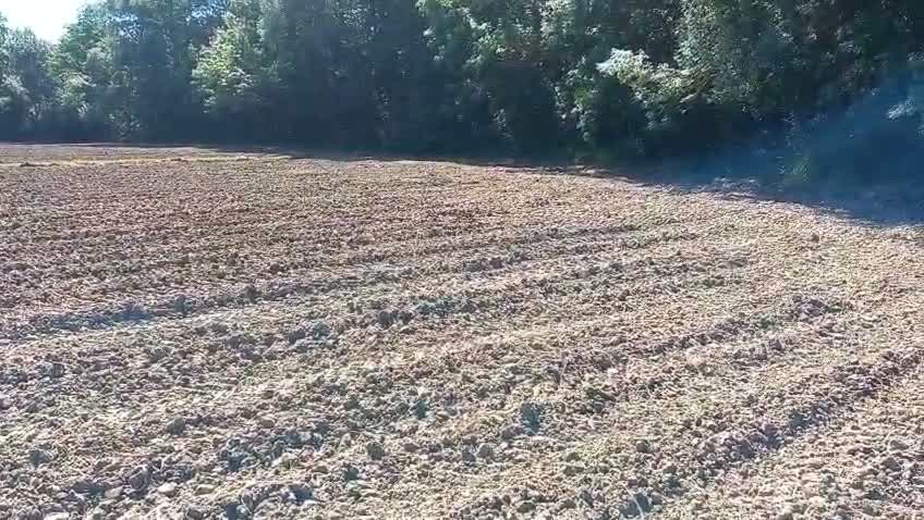 Erfelek Barajı'ndan su alamadığını öne süren Sinoplu çiftçi ürününü kaybetmek üzere olduğunu bildirdi