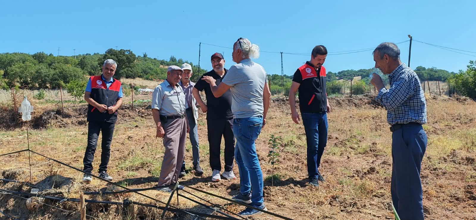 Balıkesir’de tarla faresi üreticinin yeni kabusu oldu