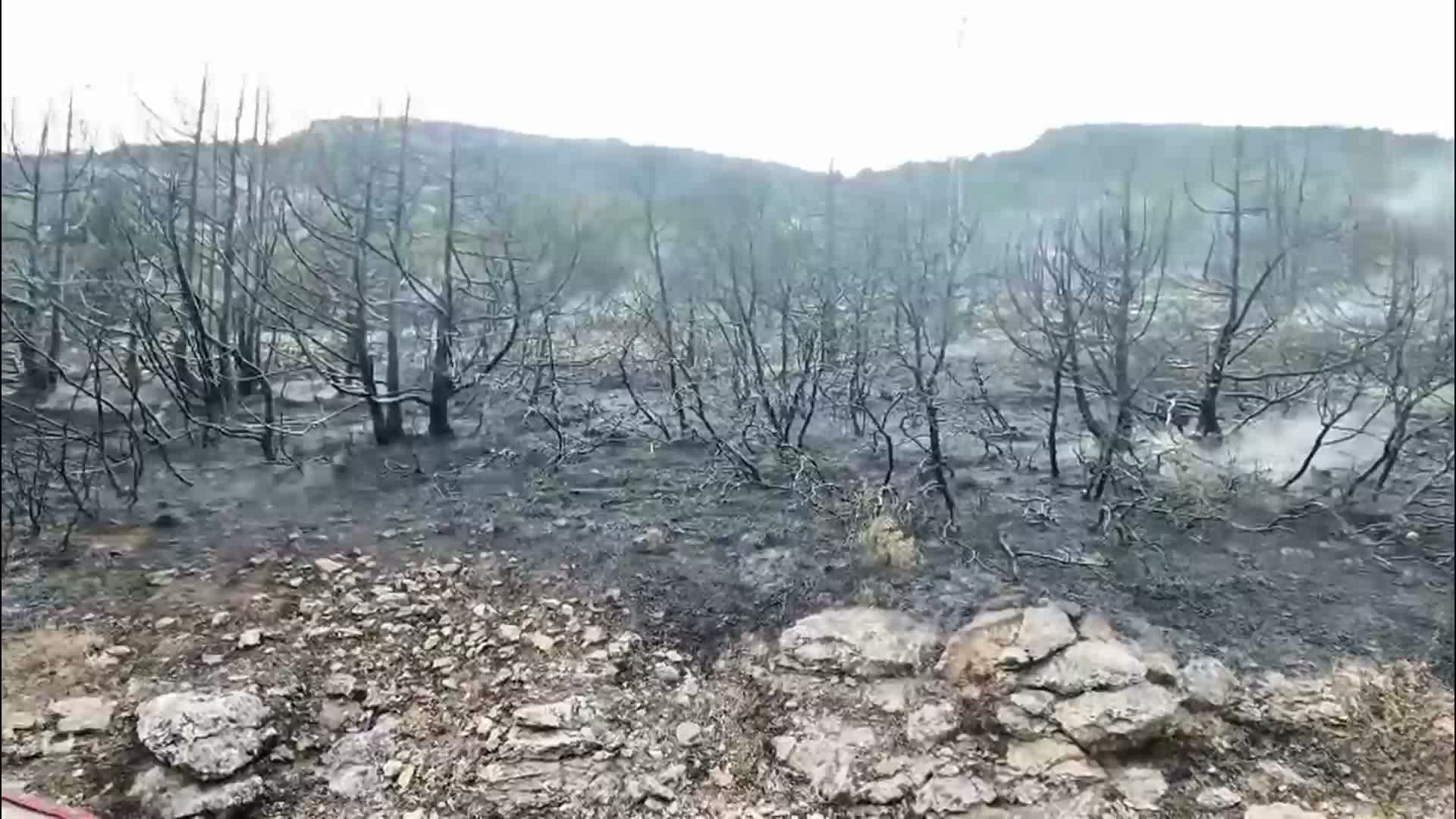Isparta'daki orman yangını kontrol altına alındı