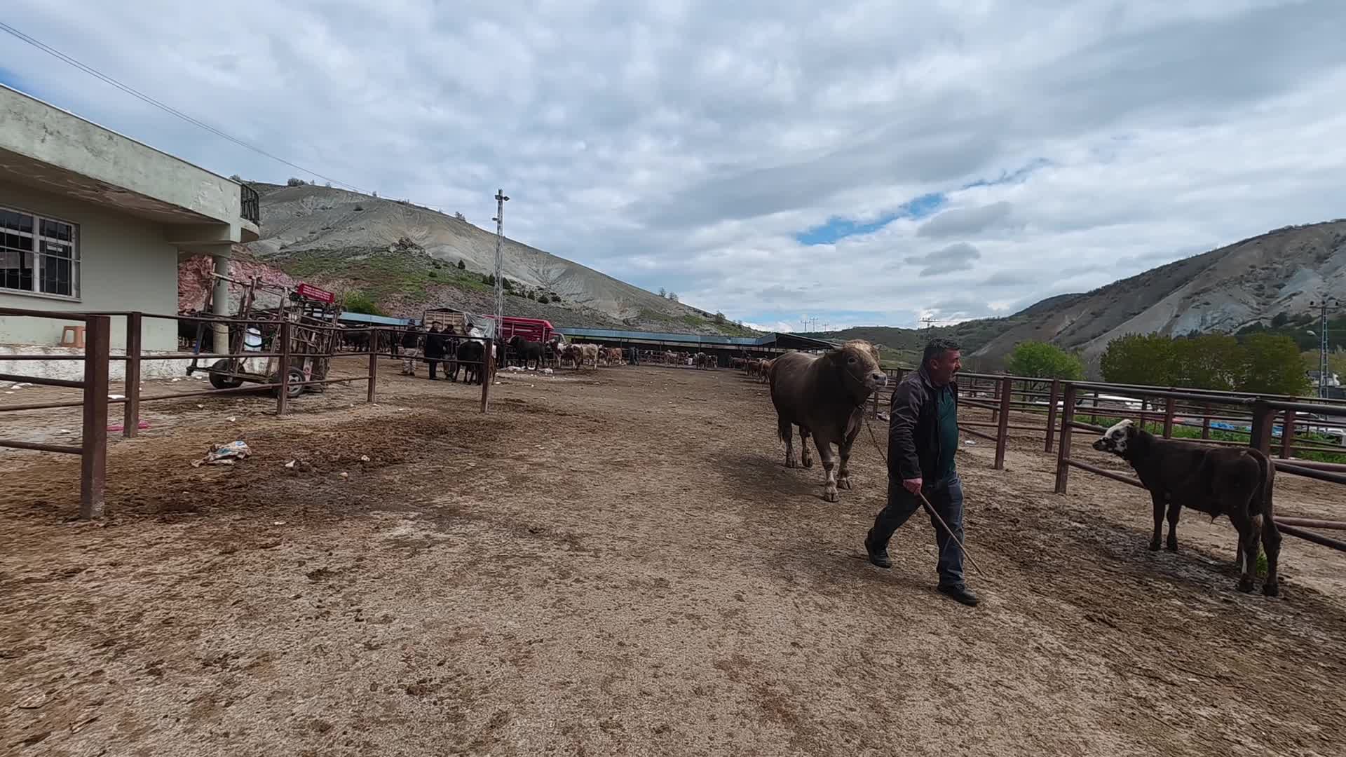 Yozgat’ta kurban pazarlarına ilgi az… “Emekli zaten kesemiyor. Neyle kesecek adam?”