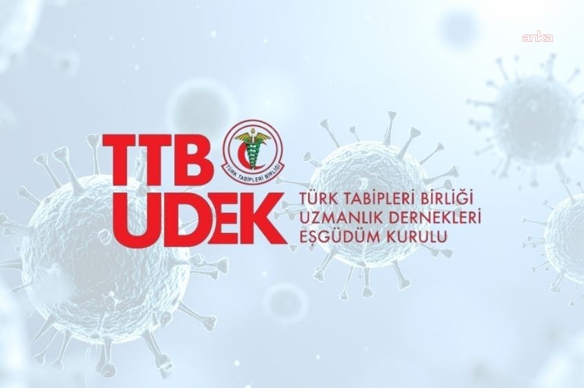 TTB-UDEK'ten Hantavirüs Enfeksiyonu açıklaması: Genel toplum için risk düşük