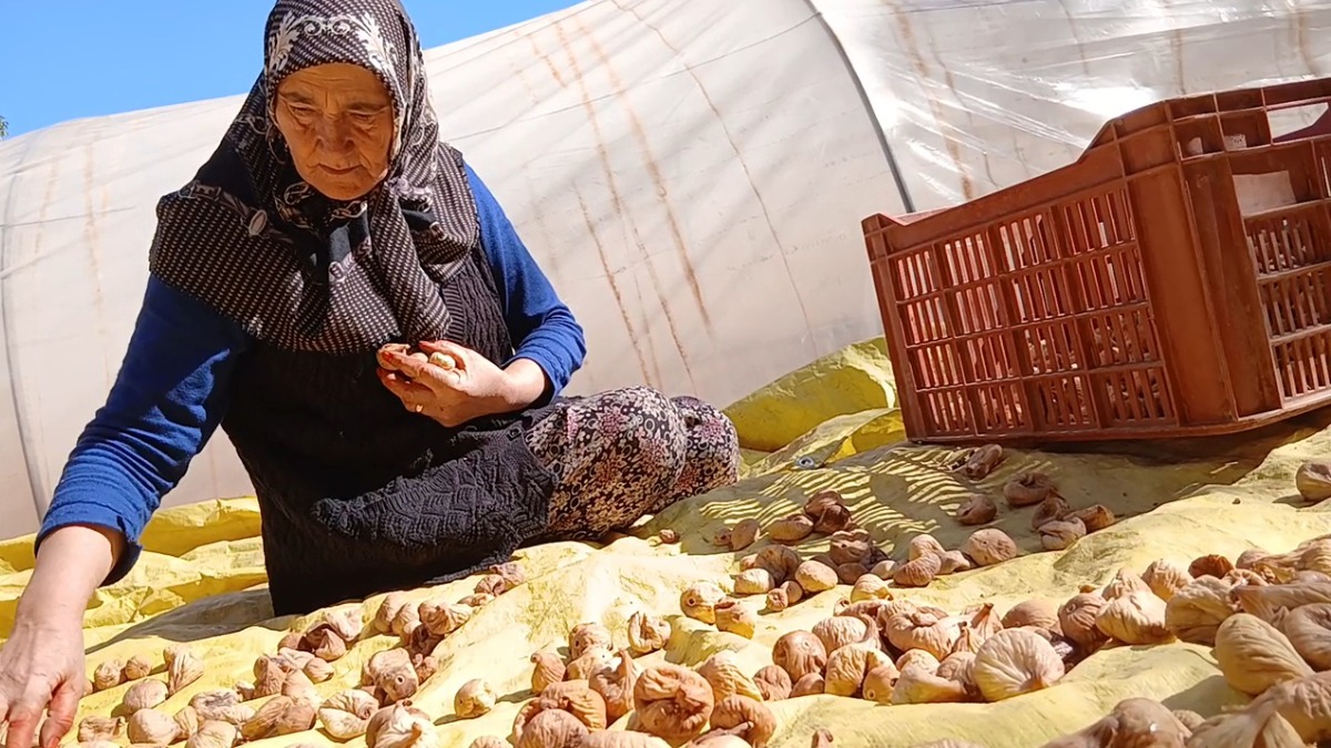 "Fiyatlar geçen seneye göre yarı yarıya düştü"