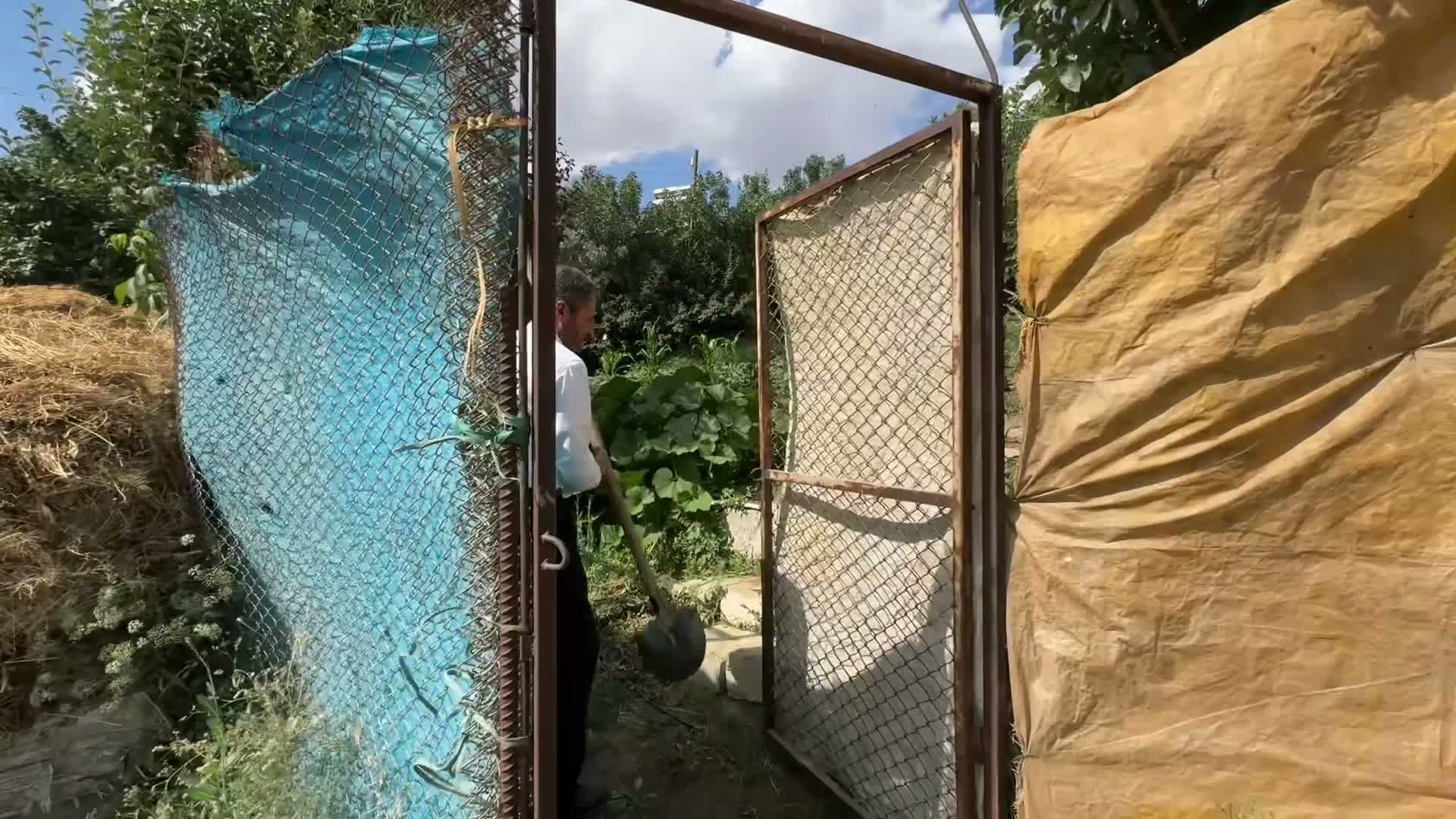 Hakkari’de 3 kez “Yılın Çiftçisi” seçildi, şimdi sera desteği bekliyor