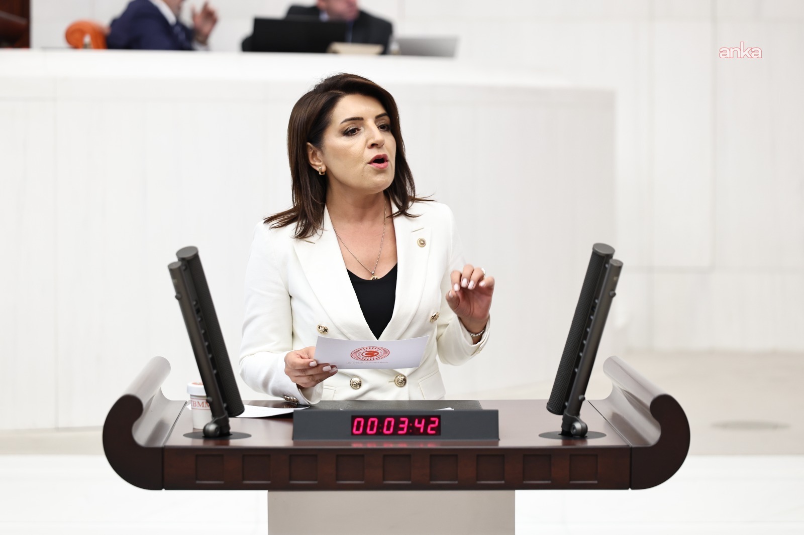 Gülcan Kış: "Hazine her 100 liralık iç borç için 103 lira faiz ödeyecek"