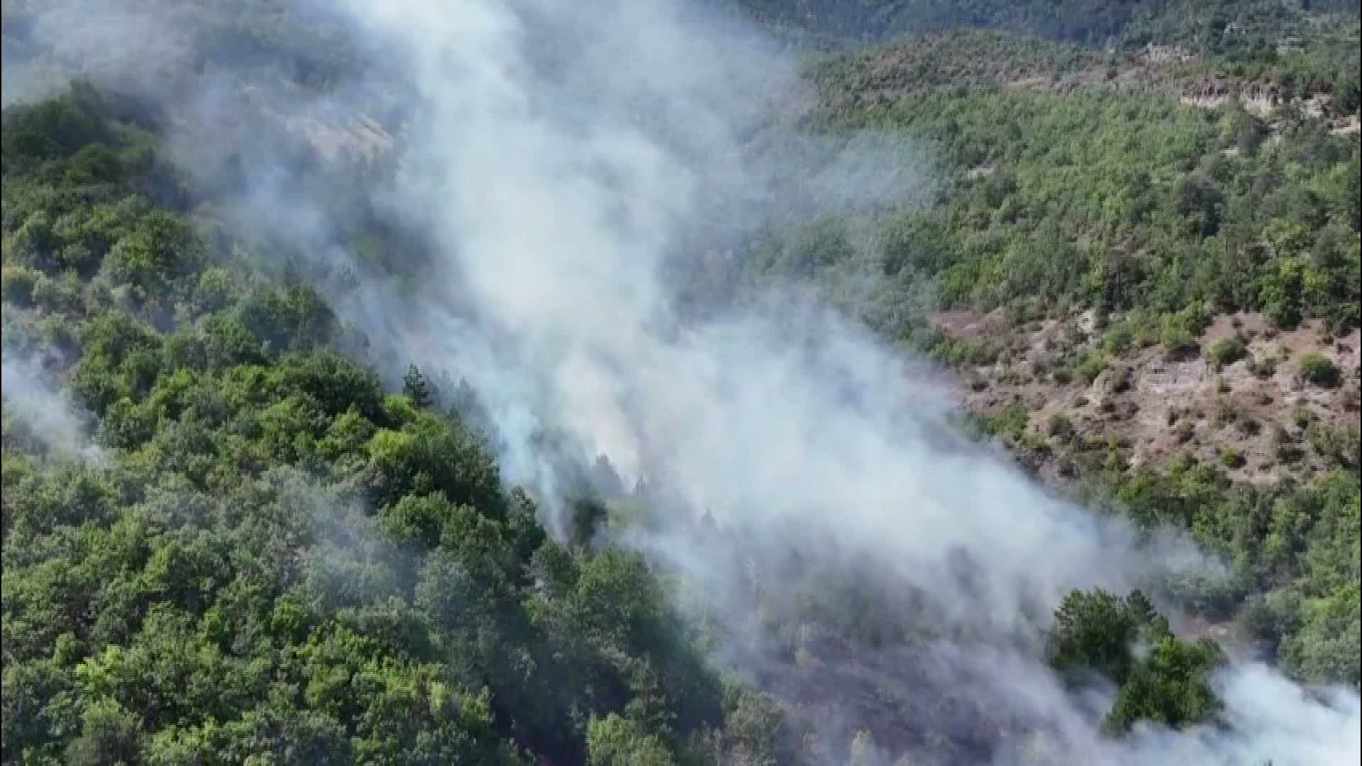 Sinop’ta orman yangını: Yaklaşık 30 hektar alan zarar gördü