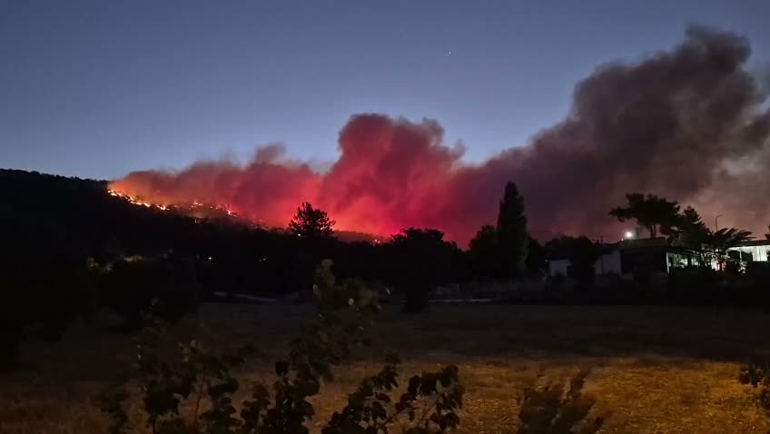 Muğla'da ormanlık alanda yangın