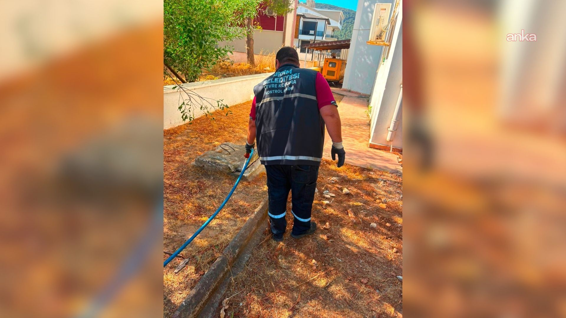 Didim genelinde ilaçlama çalışmaları sürüyor