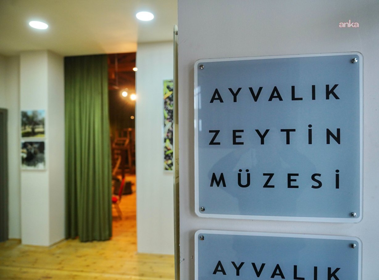 Ayvalık’ta zeytin ve zeytinyağı kültürü geleceğe taşınıyor
