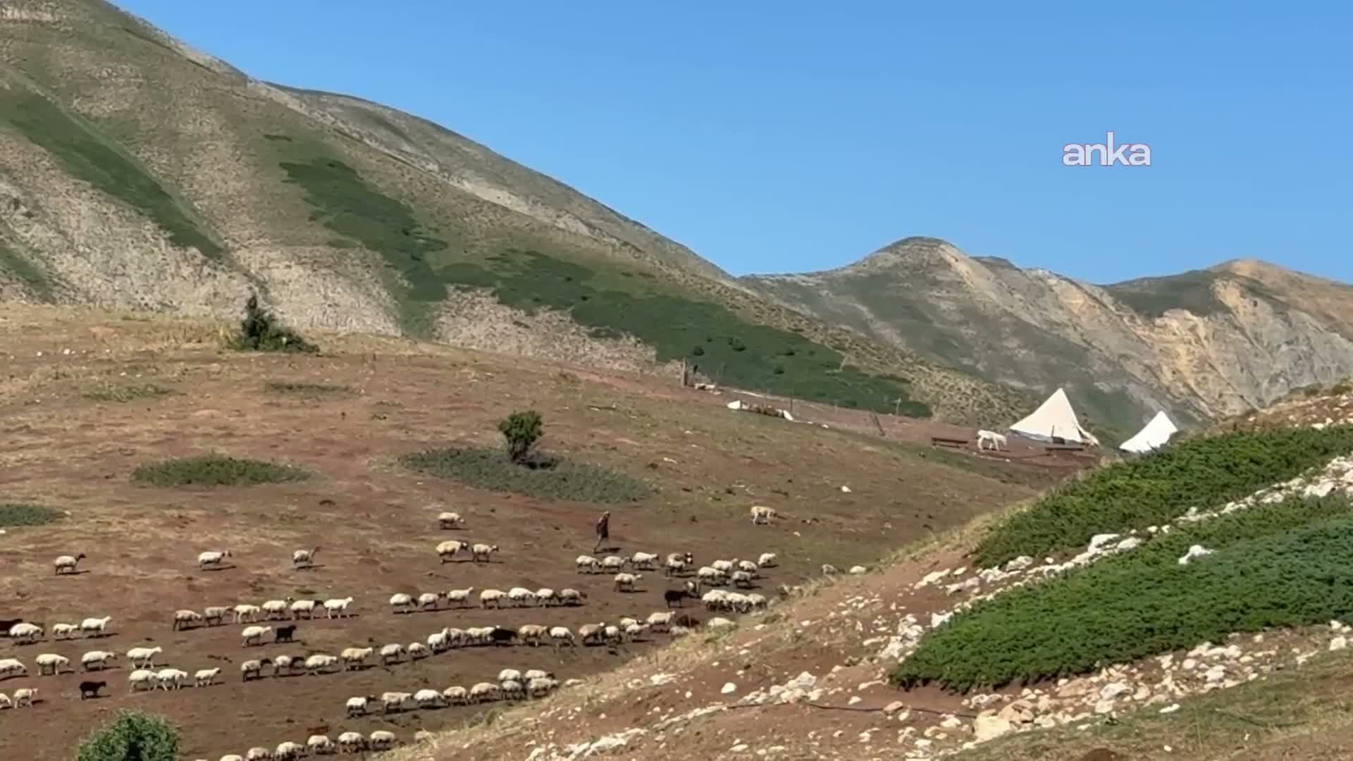 Bir yandan hayvancılık yapıyor diğer yandan KPSS’ye hazırlanıyor: “Ben de arkadaşlarımla tatile gitmeyi isterim”