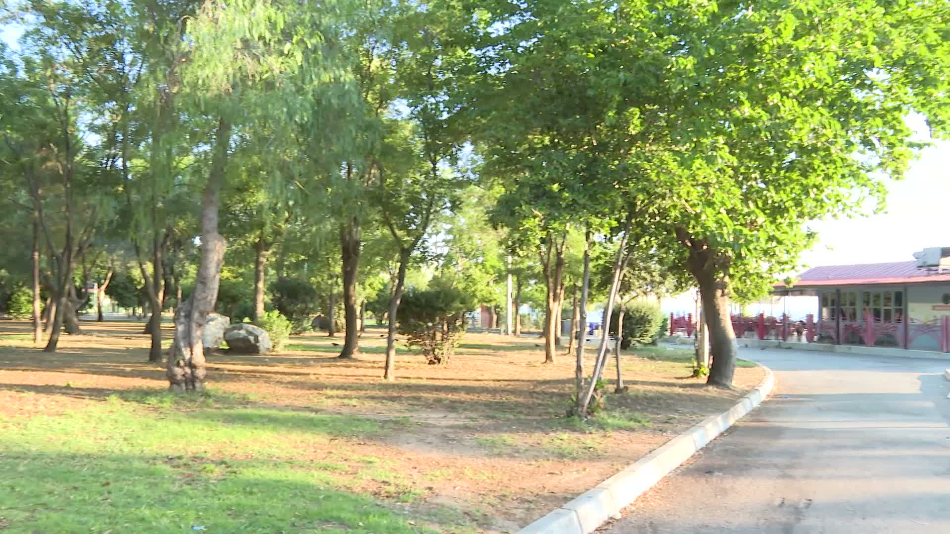 İzmir’de İnciraltı Kent Ormanı yenileniyor