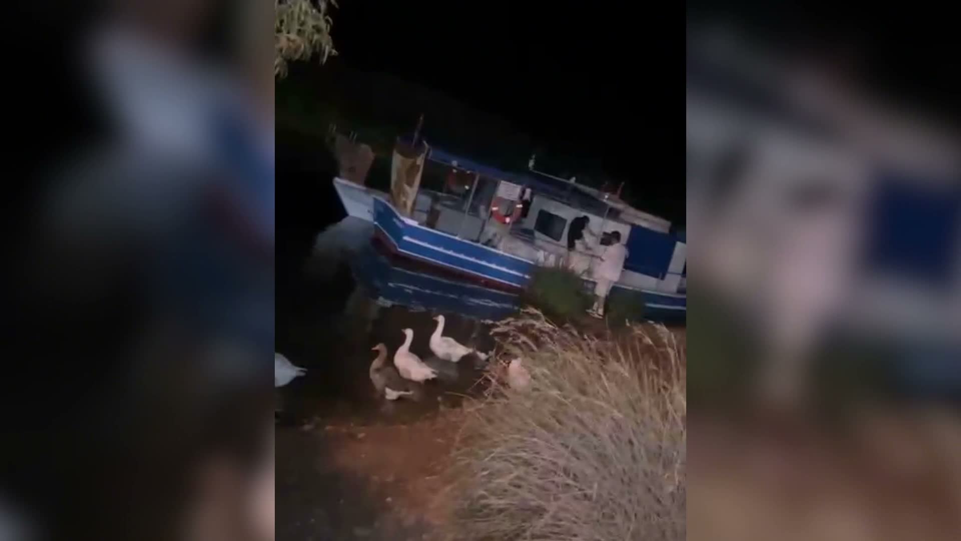 23 ilde göçmen kaçakçılığı operasyonu: 31 organizatör tutuklandı