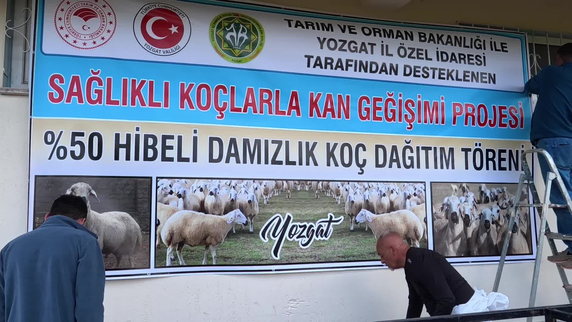 Yozgat’ta 60 besiciye 120 koç dağıtıldı