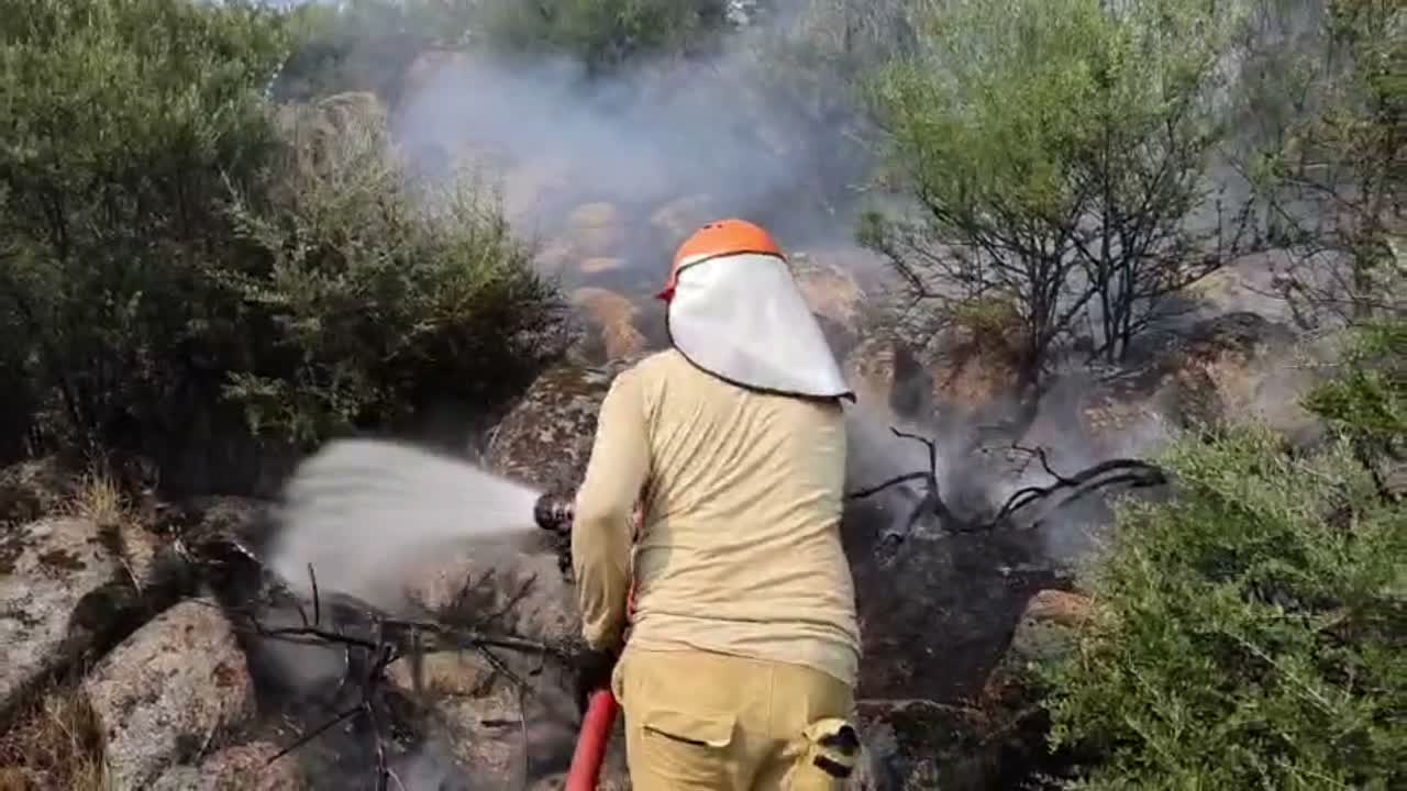 Aydın Bozdoğan'da çıkan yangına müdahale sürüyor