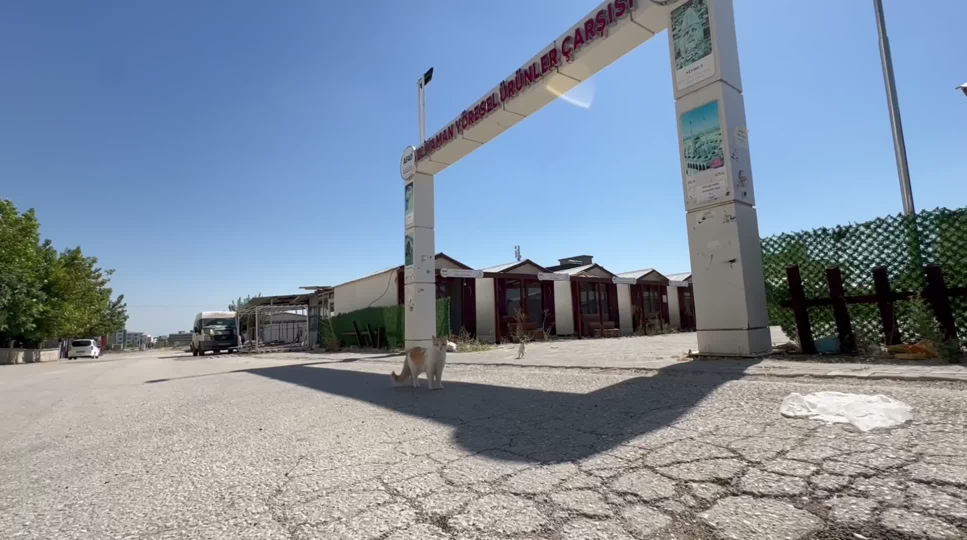 Adıyaman Belediyesi’nden tahliye edilen konteyner kentlerde sokak canlarına mama ve su desteği