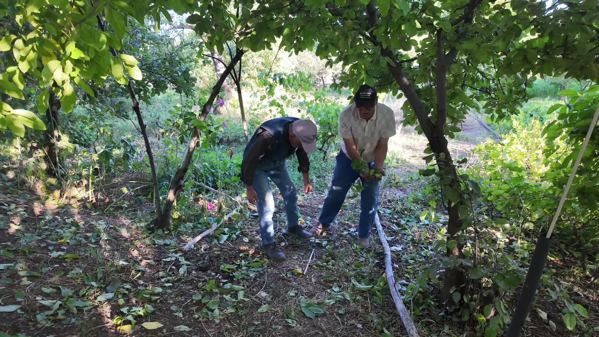 Yozgat’ta dolunun verdiği hasarın tespitine başlandı