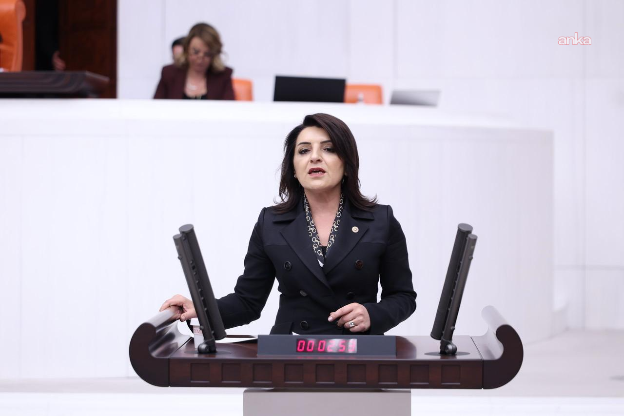 CHP'li Kış: "Bu ülkede büyüyen ekonomi değil, borçtur"