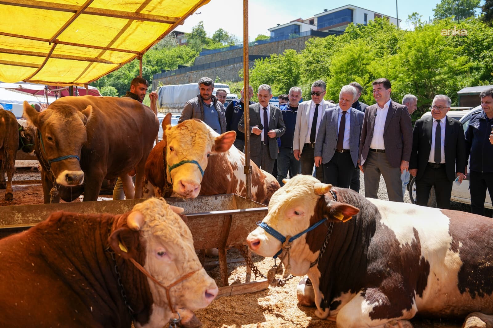 Ortahisar Belediyesi, Kurban Bayramı hazırlıklarını tamamladı