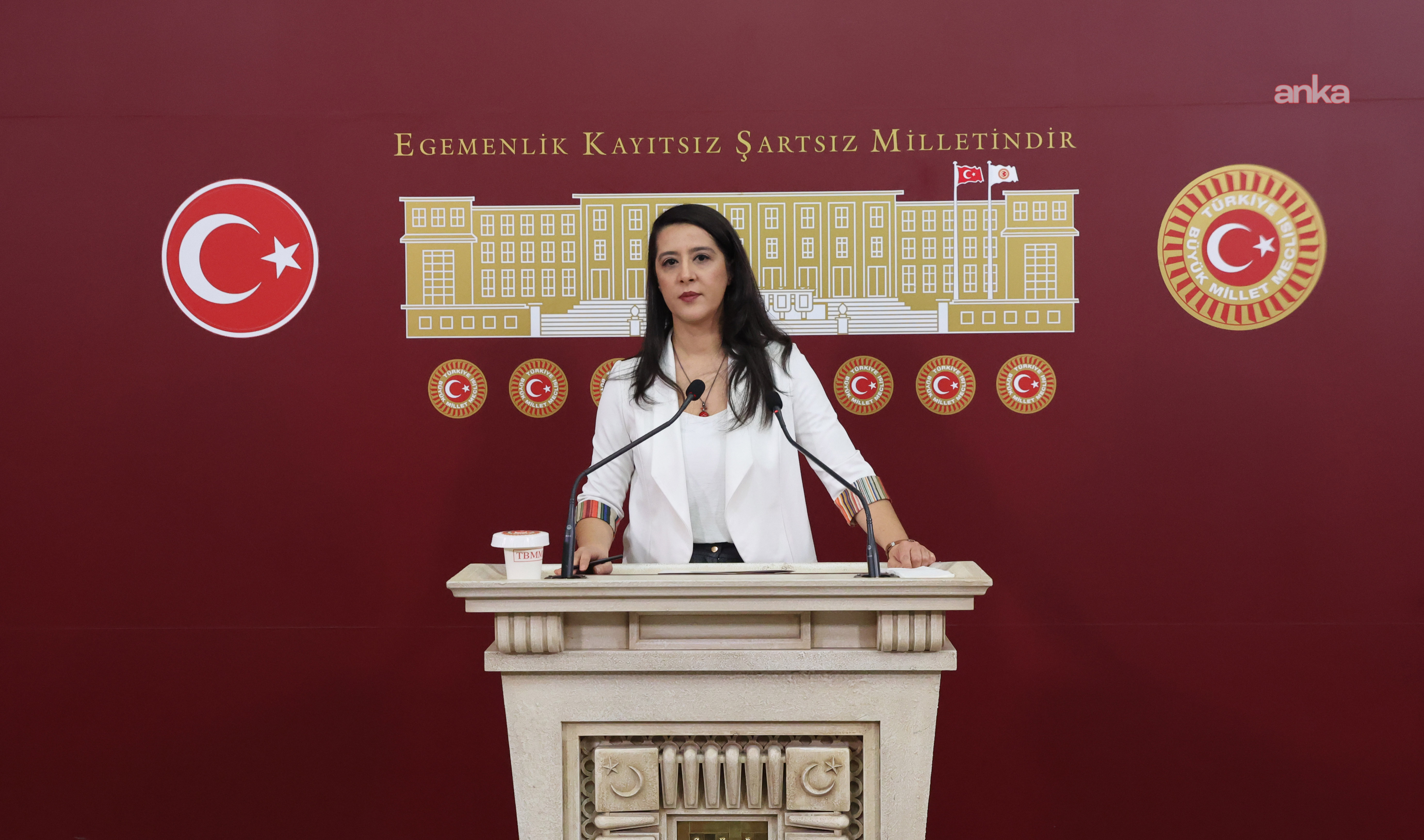 EMEP'li Karaca, karma eğitime karşı yürütülen kampanyaları TBMM gündemine taşıdı