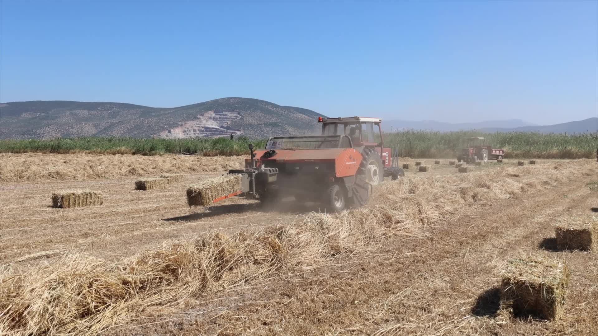Muğla Büyükşehir Belediye Başkanı Aras, Ekinanbarı'nda üreticilerle bir araya geldi
