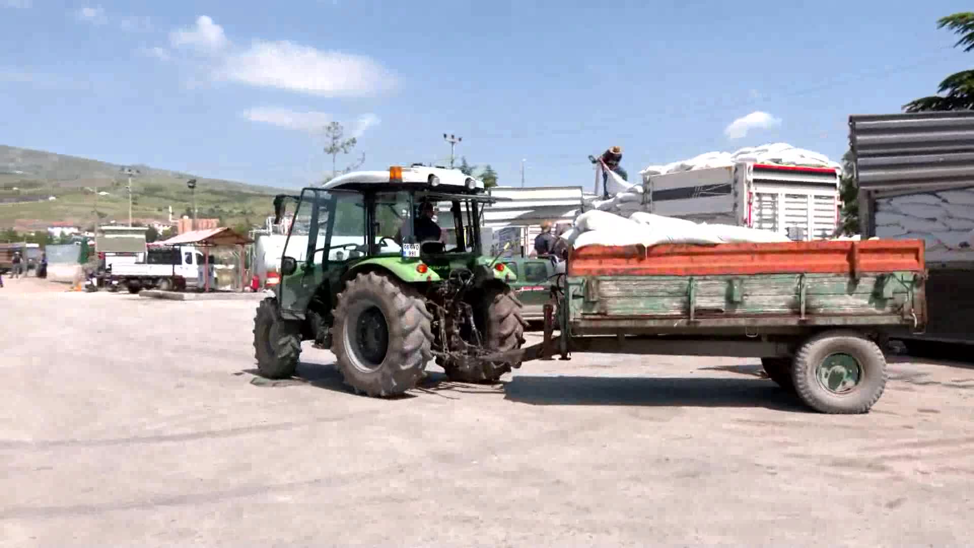 Ankara Büyükşehir Belediyesi'nden hayvan üreticilerine yüzde 75 hibeli yem desteği