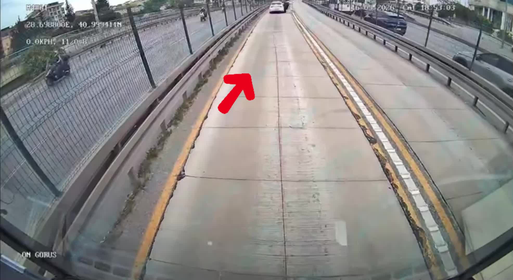Metrobüs hattına giren iki yavru kedi İETT görevlilerince kurtarıldı