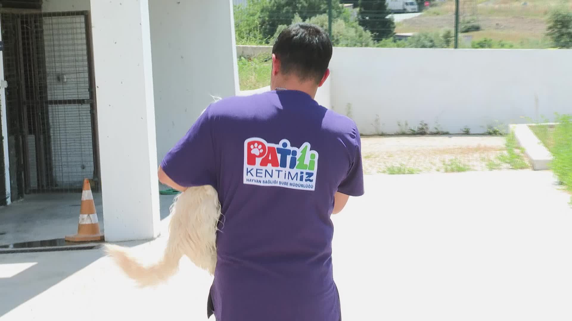 Pako ve bakımevlerindeki patili dostlar yeni ailelerini bekliyor