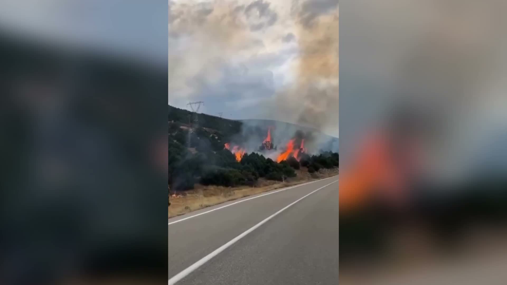 Isparta'da orman yangını: Ekiplerin müdahalesi sürüyor