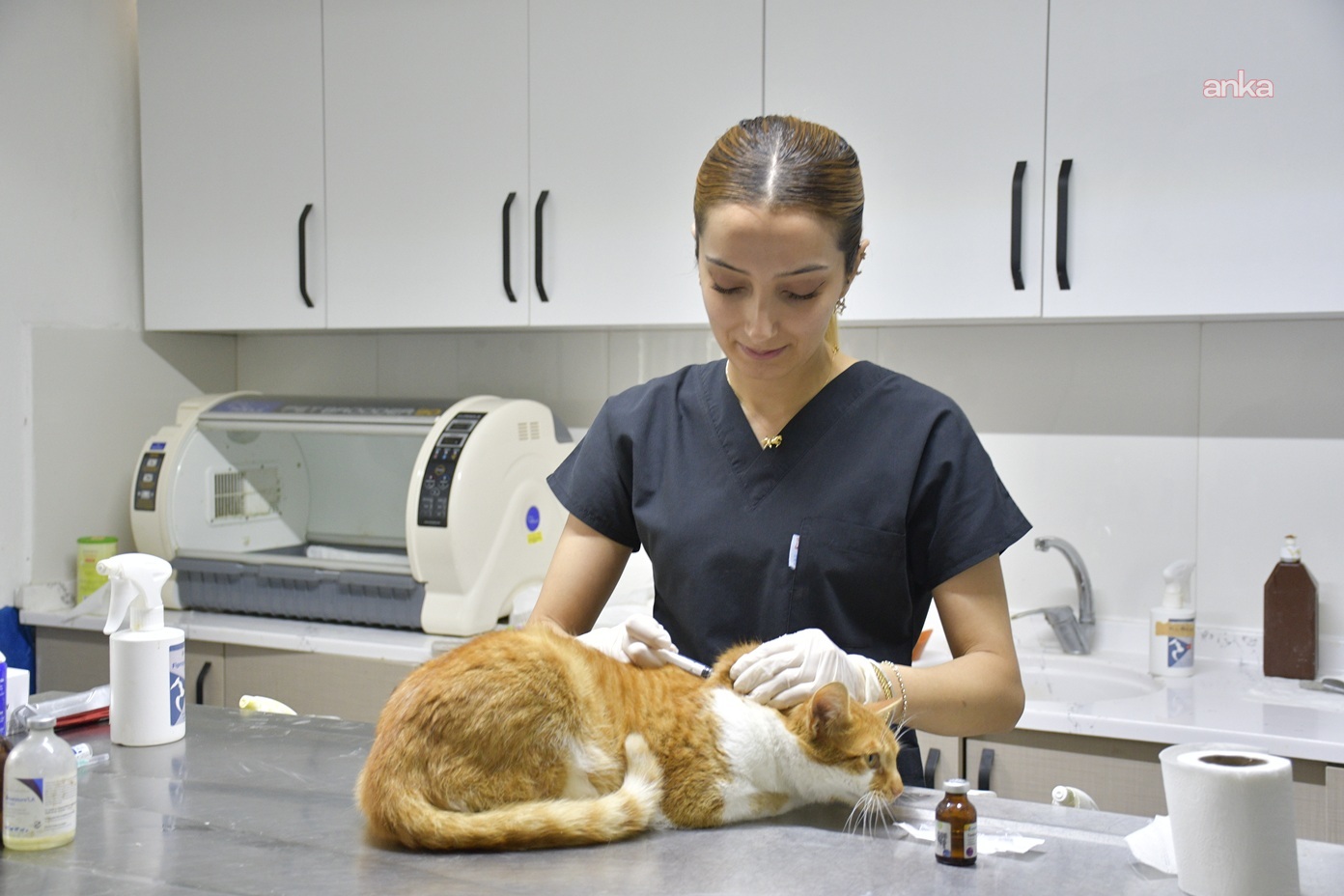 Kuşadası Davutlar Kedi Kısırlaştırma Merkezi’nde can dostlara ücretsiz hizmet