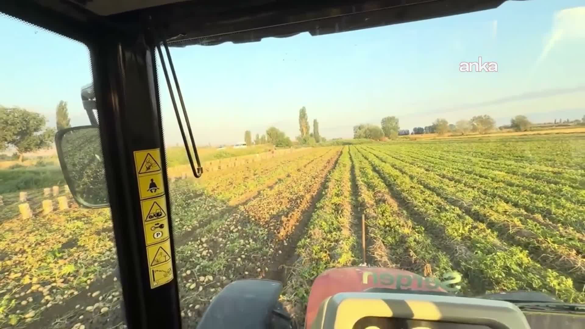 Amasya'da 6 ton patatesi ücretsiz dağıttı: “Allah bize verdi, biz de vatandaşla paylaştık”