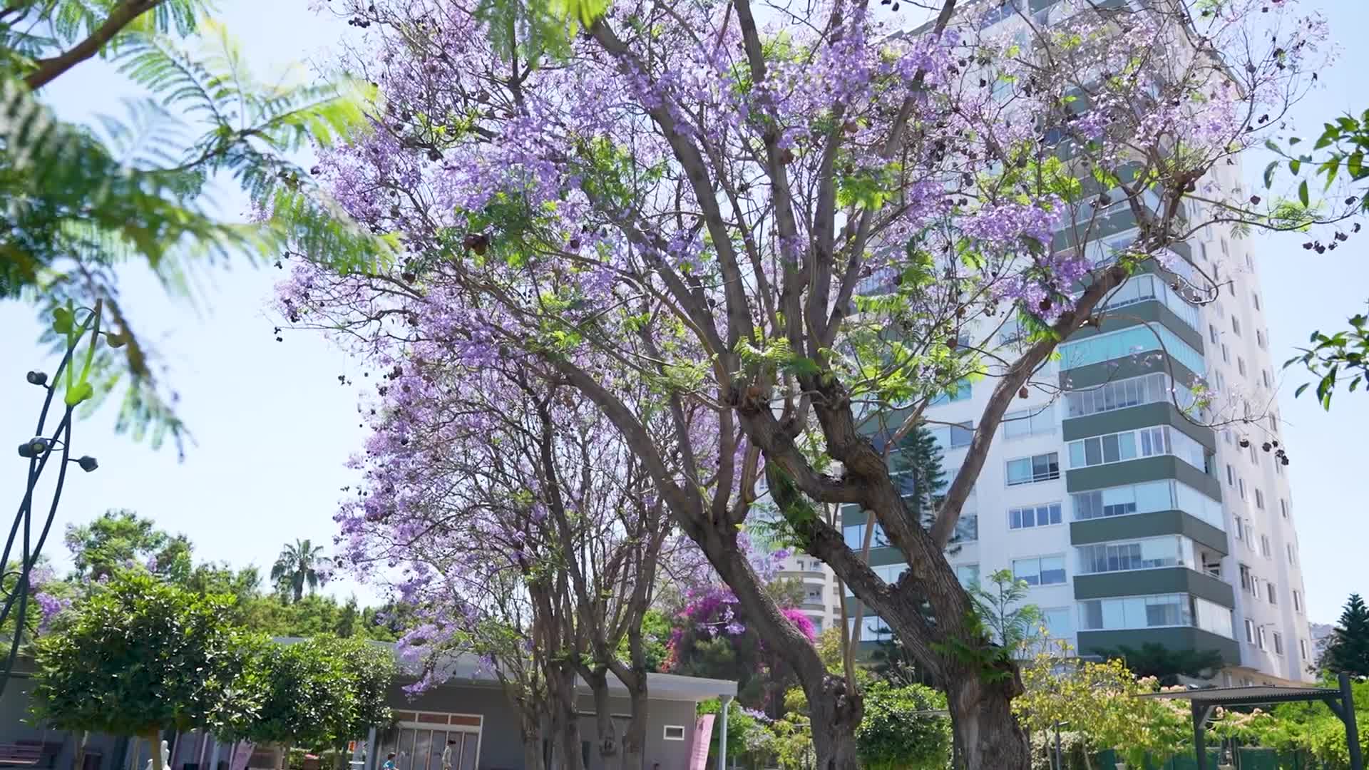 Mersin Büyükşehir Belediyesi’nden kent estetiğine yaz dokunuşu