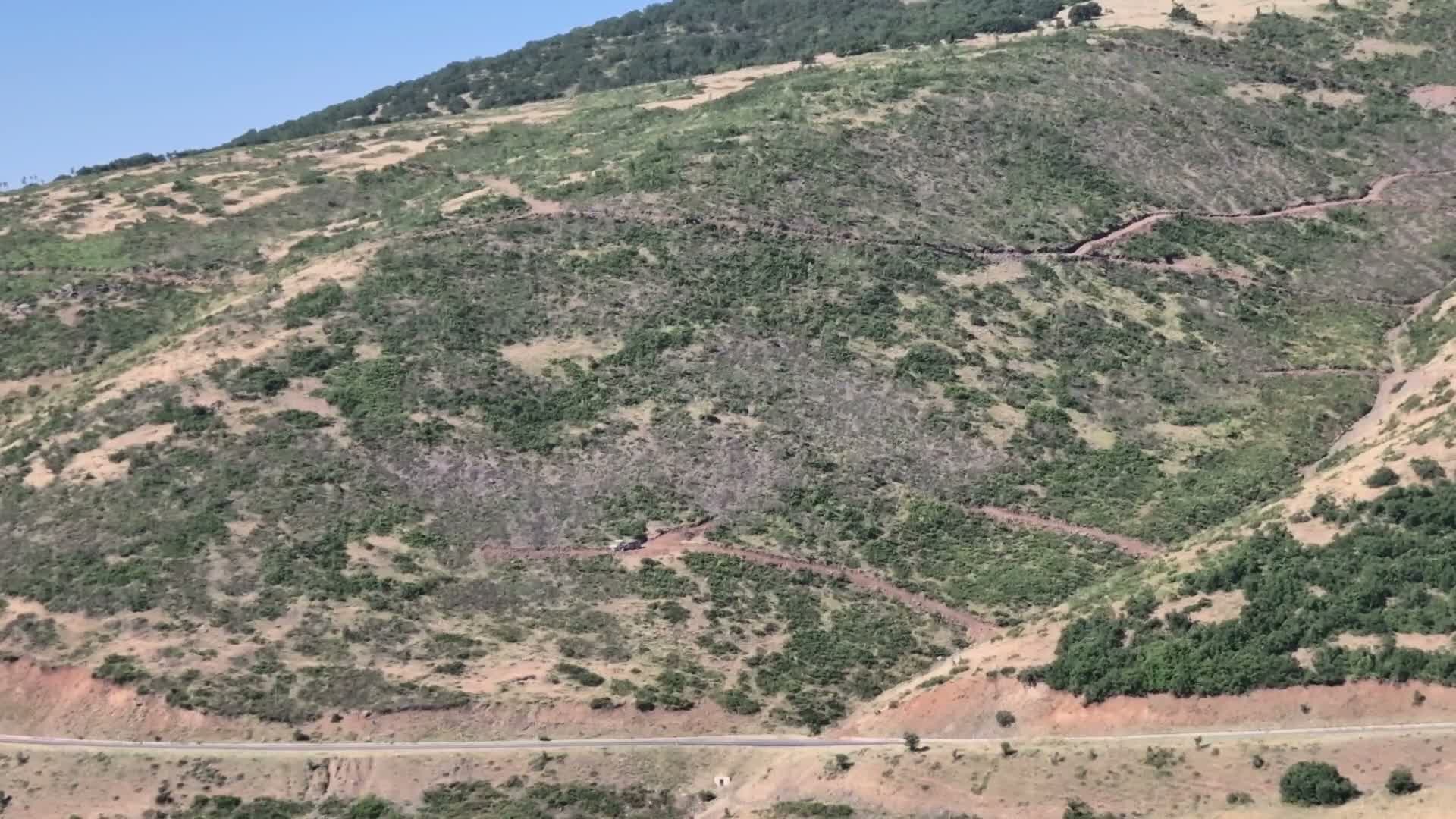 Bingöl'de orman kesimleri sürüyor: Çevre aktivistleri yetkililerden açıklama talep etti